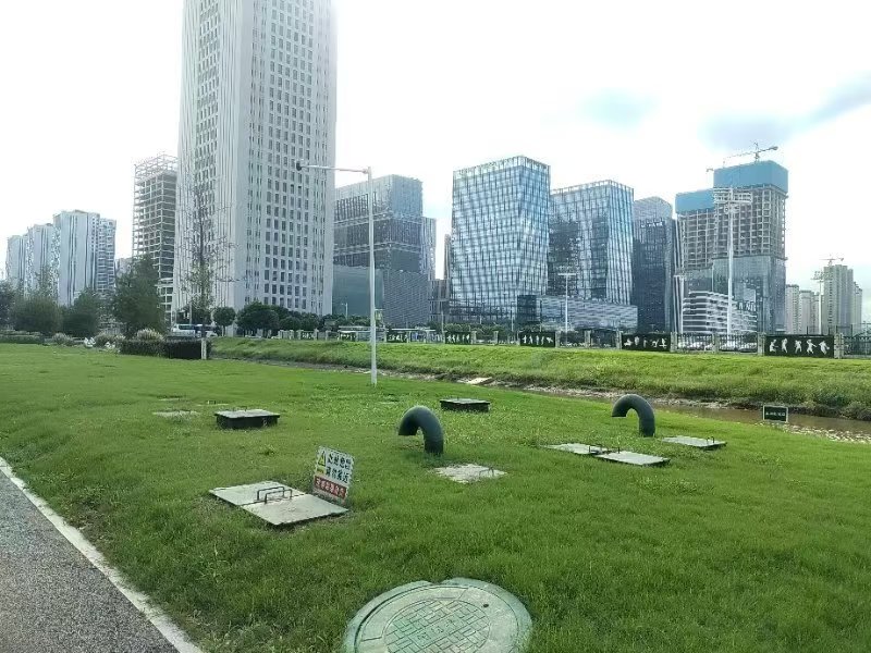 06.jpg